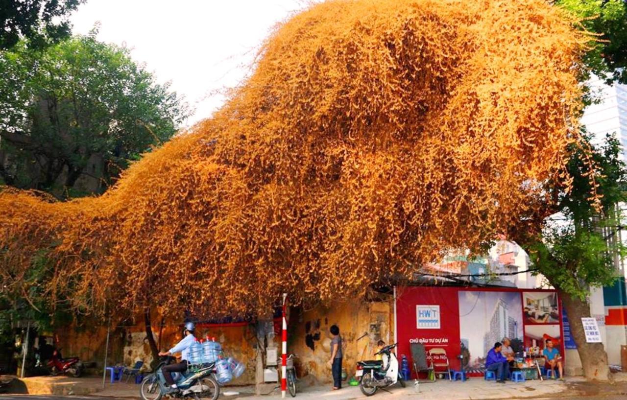 Hanoi Culture Hostel Exterior photo